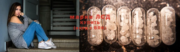 ГАЛЛЮЦИНОГЕННЫЕ ГРИБЫ Сафоново