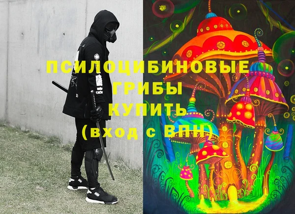 ГАЛЛЮЦИНОГЕННЫЕ ГРИБЫ Сафоново