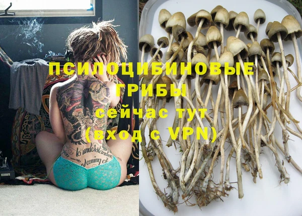 первитин Сатка