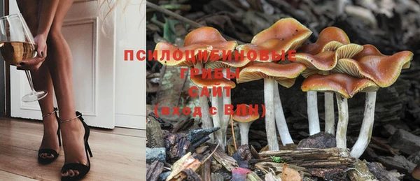 mdma Дрезна