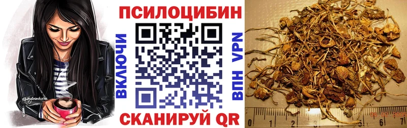 Галлюциногенные грибы мицелий  Купить где  Кохма